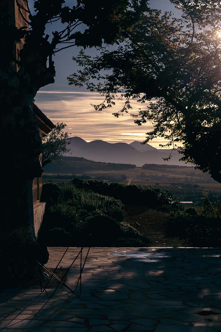 Câlin Provence