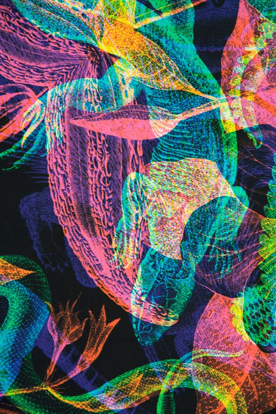 Carnovsky's RGB Scarves Collection