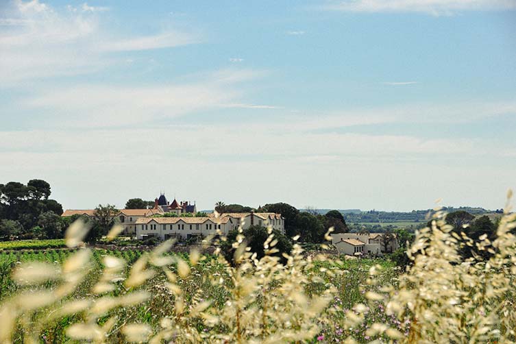 Slow Lifestyle Languedoc