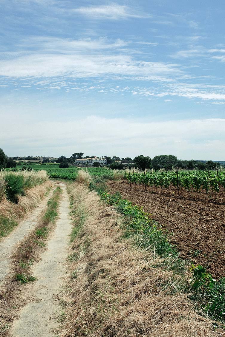 Slow Lifestyle Languedoc