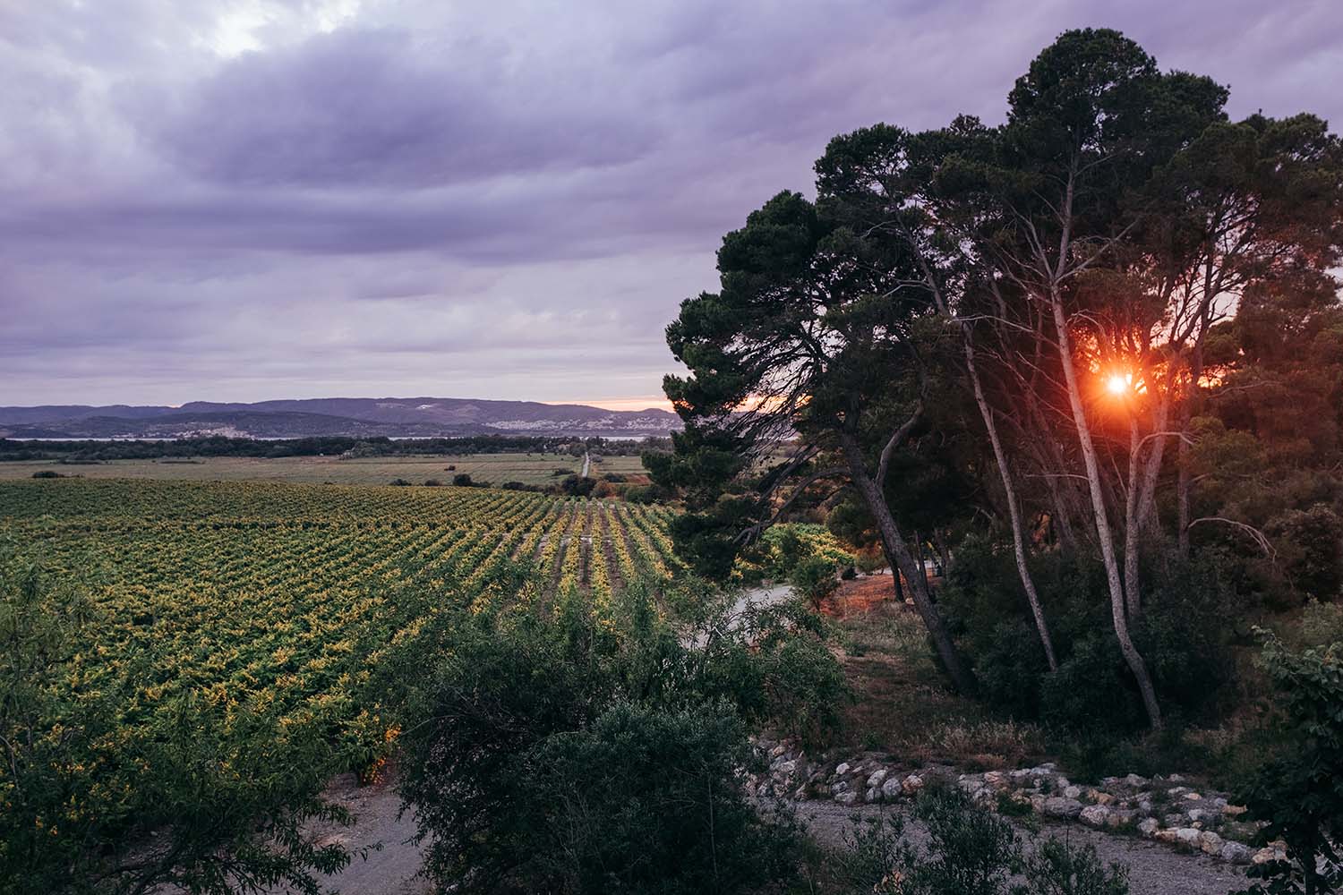 Chateau Capitoul, Narbonne