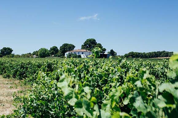 Château les Carrasses Luxury Resort on the Canal du Midi, Languedoc France