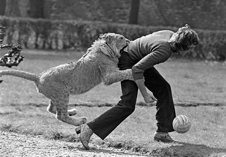 Christian tackles John during a game of football in the Moravian Close, an image that won Derek the 1970 Ilford World Press Award for Best Feature Picture. © Derek Cattani