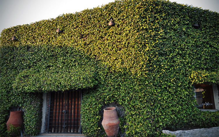 Church Boutique, West Hollywood