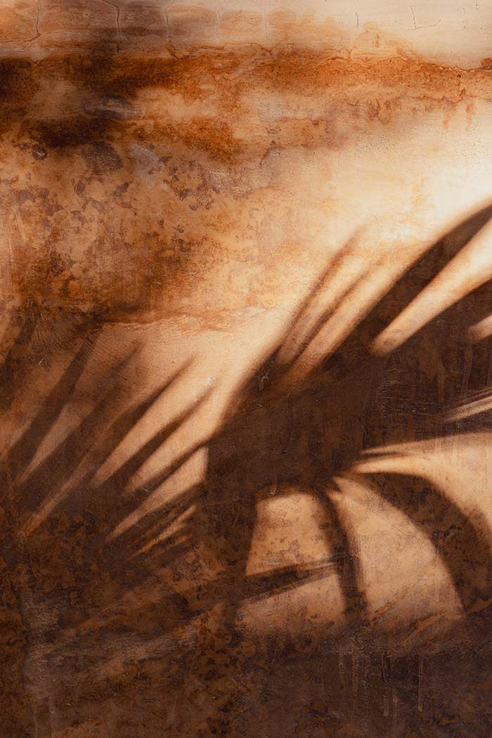 Design Hotel by Mex&Co