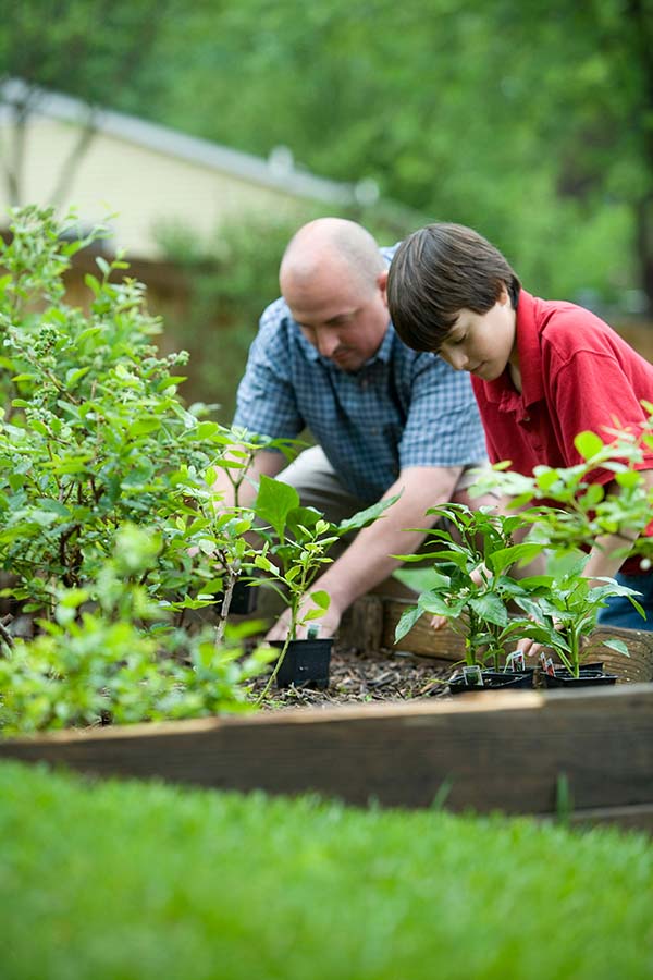 Composting toilets: This one green decision makes you five times a planet hero