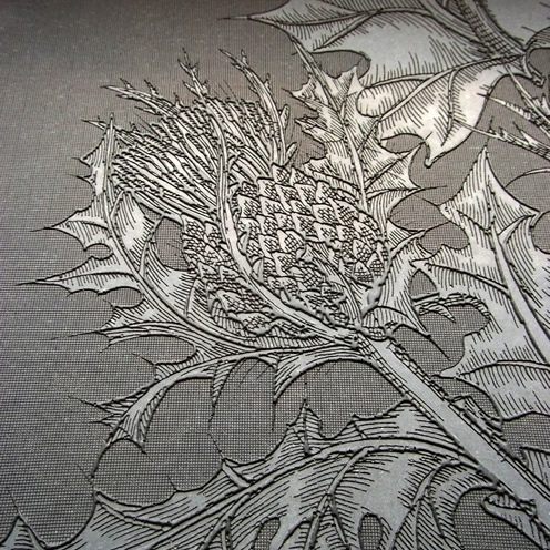 Design Geekery; Concrete Thistle