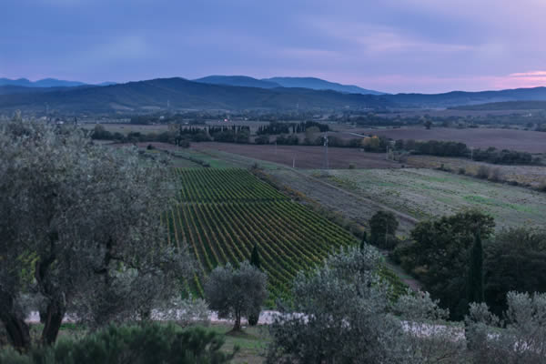 Conti di San Bonifacio Wine Resort Tuscany, Maremma