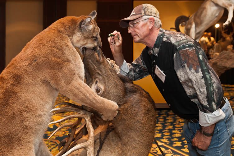 World Taxidermy Championships