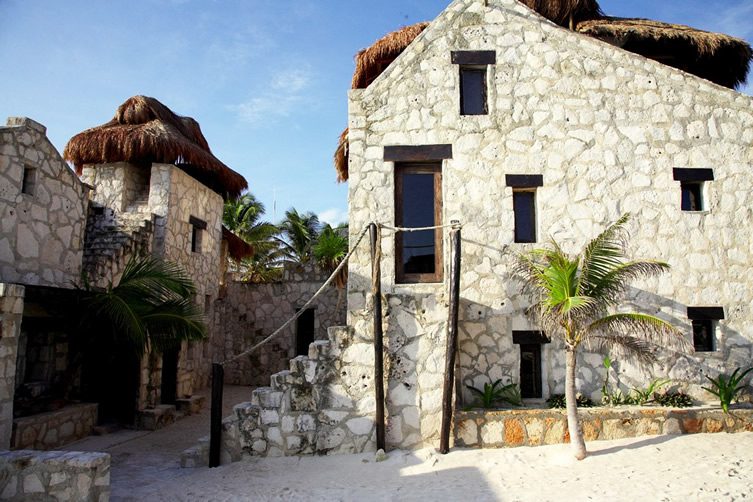 Coqui Coqui, Yucatan Peninsula, Mexico