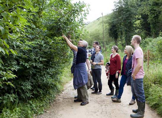 Foraging Costswolds hedgerows with Cheltenham’s Le Champignon Sauvage