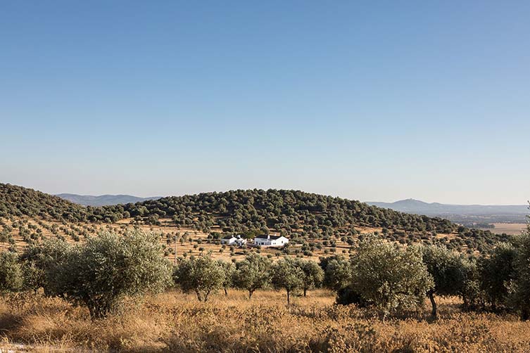 Dá Licença Alentejo Design Hotel, Art Retreat Farmhouse in Portugal