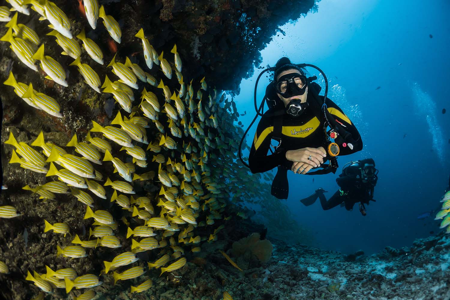 Deep Sea Diving: How To Enhance Your Experience