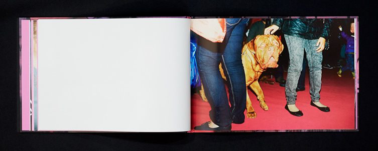 Sipke Visser — Doggies Book