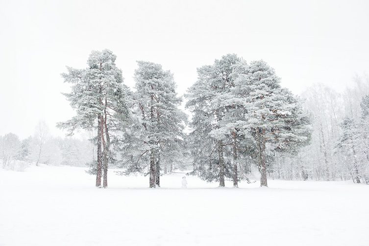 Ekebergparken Sculpture Park — Oslo