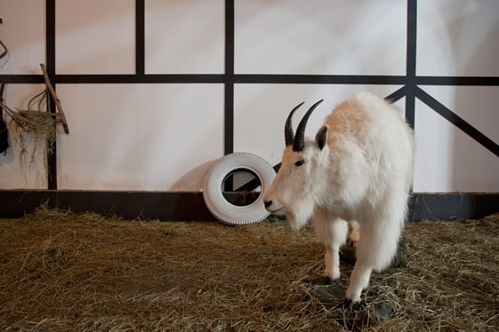 Elmgreen and Dragset, German Barn