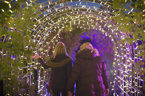 English Heritage, Enchanted Events: Enchanted Garden Events