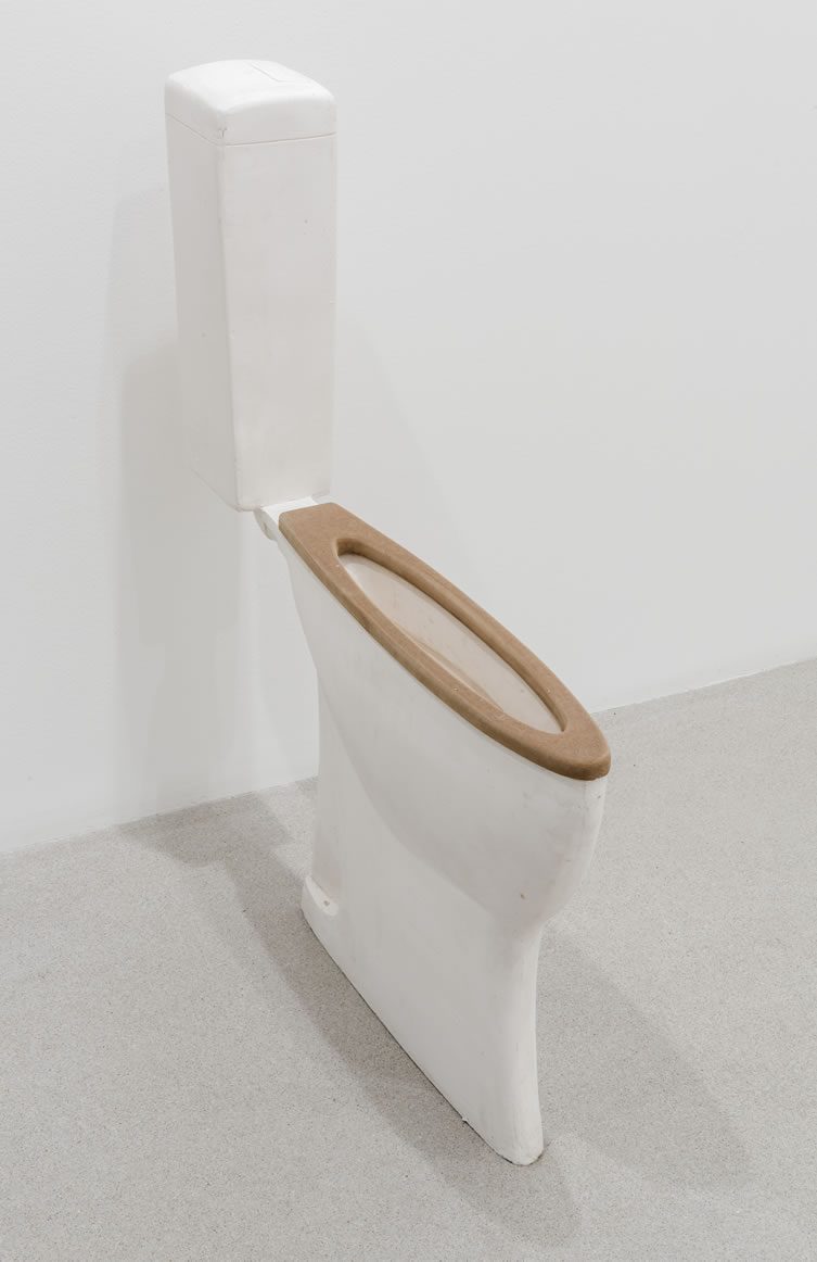 Erwin Wurm, Toilet