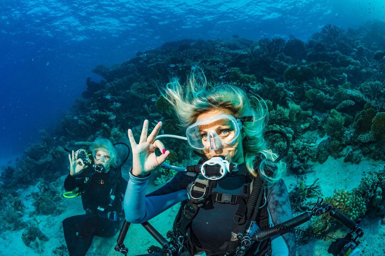 Exploring Barbados Under the Sea