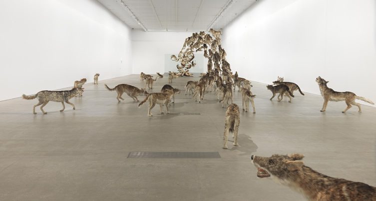 Cai Guo-Qiang — Falling Back to Earth