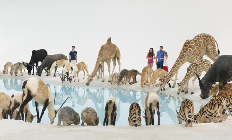 Cai Guo-Qiang — Falling Back to Earth