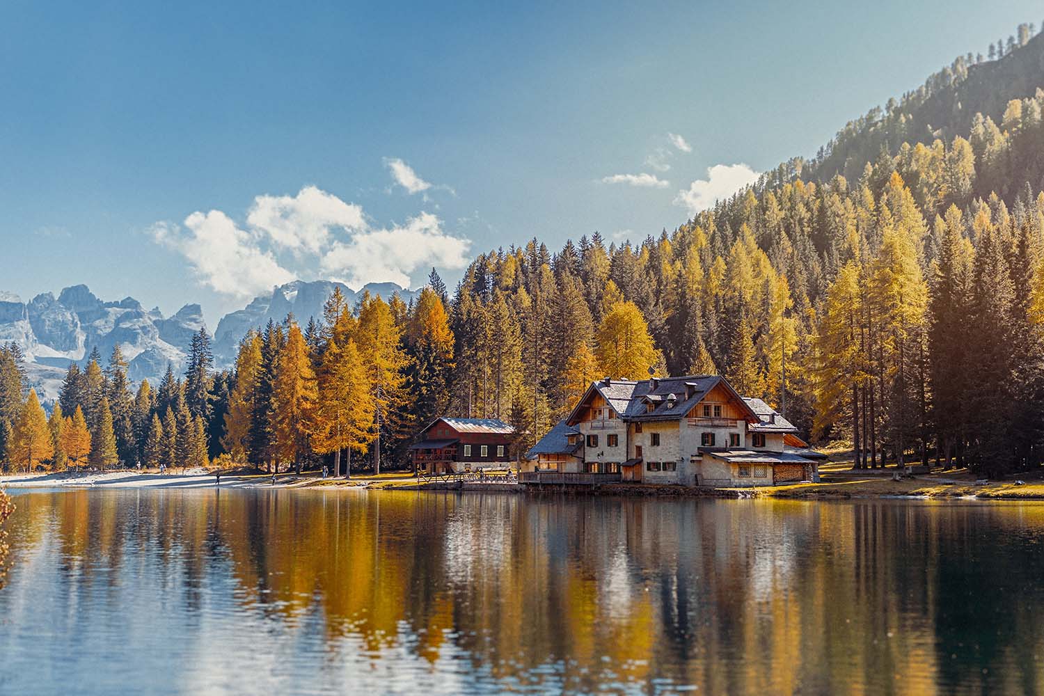 Fall Travel Tips: Ultimate Guide to a Perfect Travel Experience this Fall