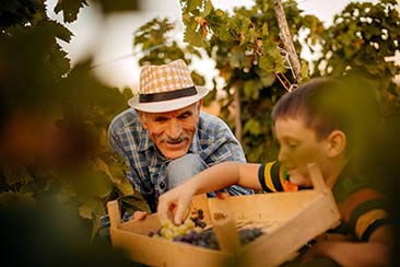 Family Friendly Wineries to Visit in Tuscany