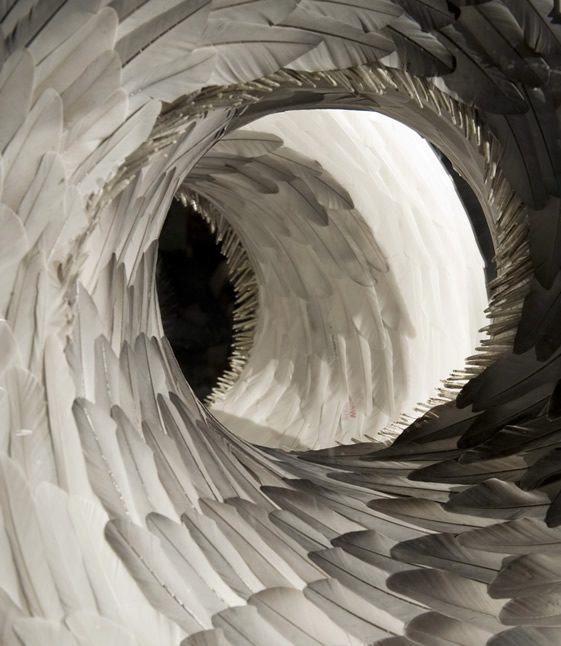 Kate MccGwire's Feather Sculptures