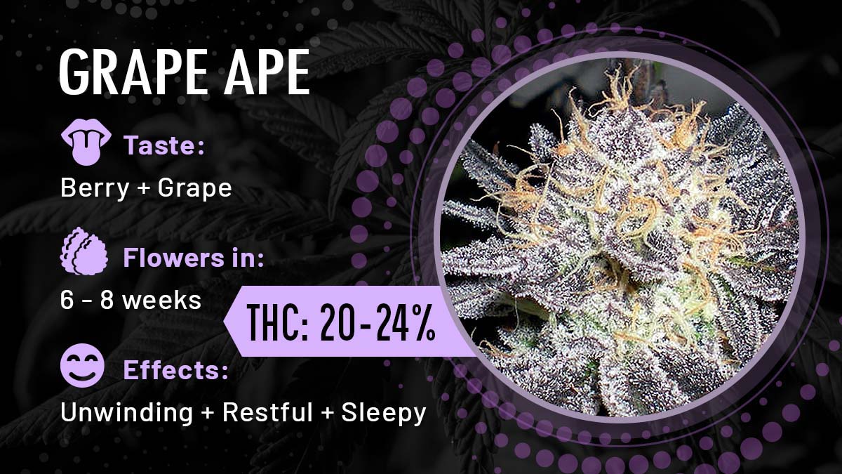 Grape Ape