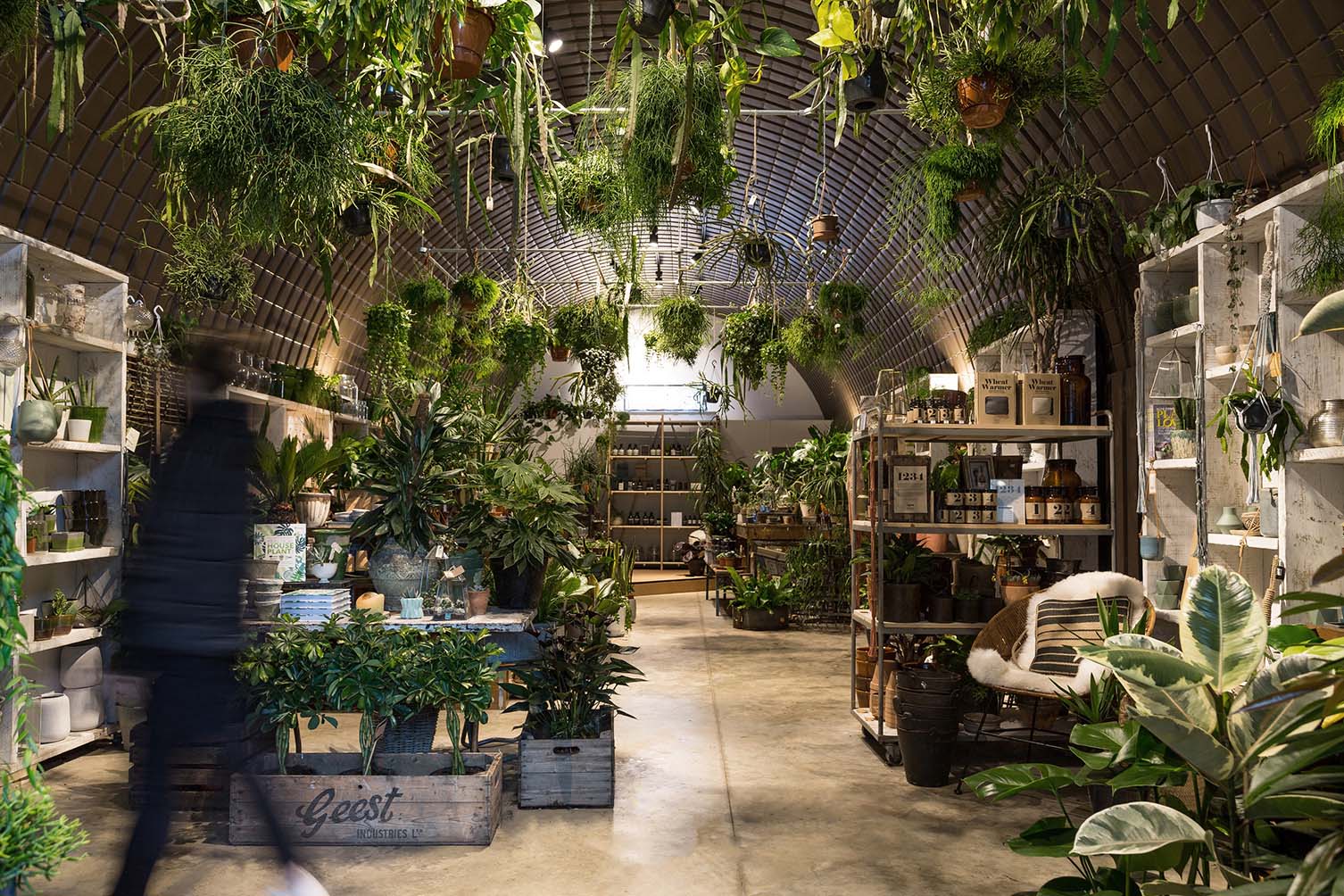 Forest Deptford, London Plant Shop