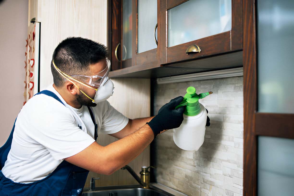 How Frisco Businesses Stay Bug‑Free: Best Pest Control Practices