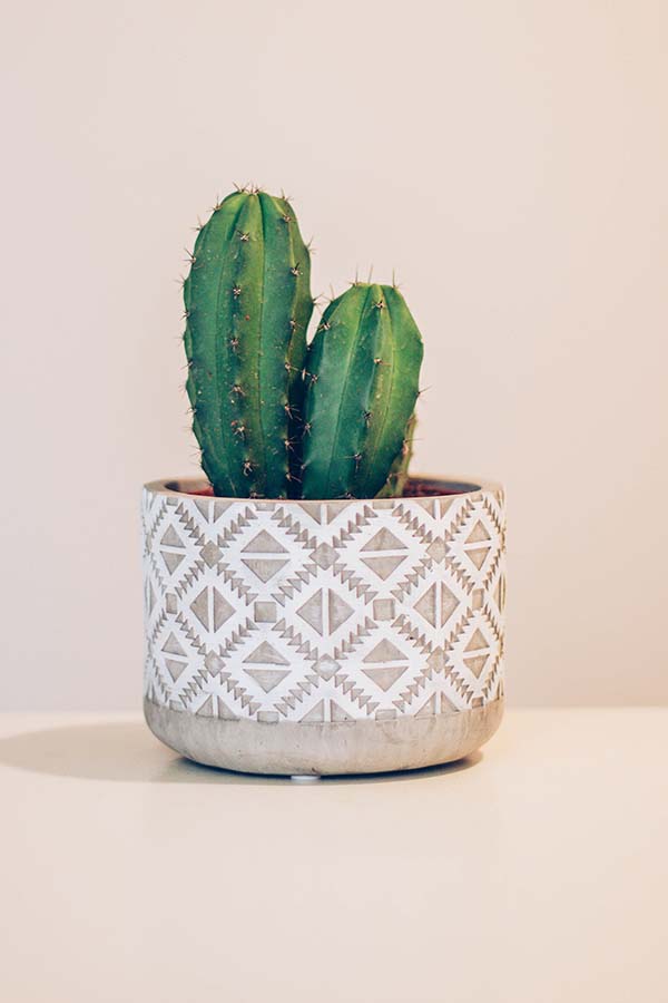 Tips Furnish Your City Apartment On A Budget