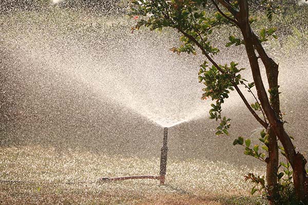 Tips to Choose a Garden Water Pump