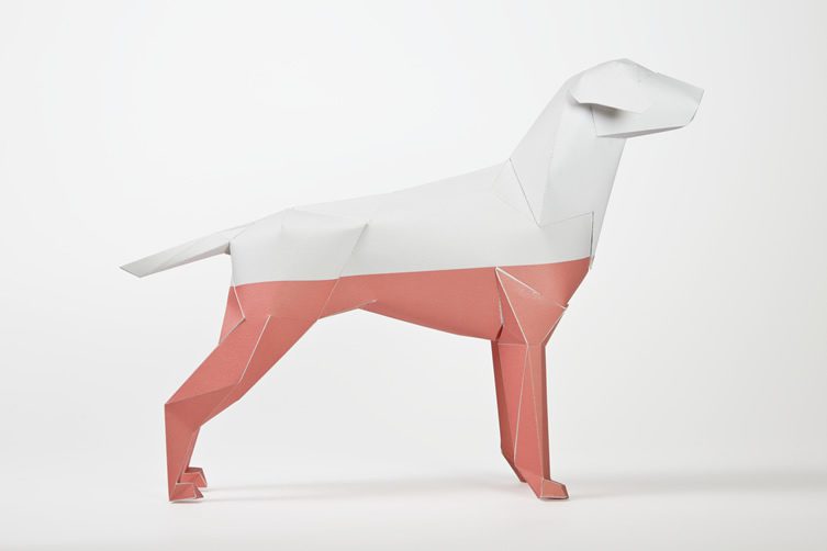 Gerald the Lazerian Dog