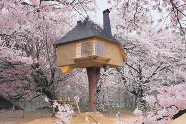 Inspiring Tree Houses