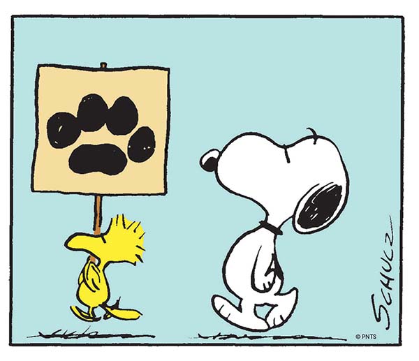 GOOD GRIEF, CHARLIE BROWN! Celebrating Snoopy and The Enduring Power of Peanuts