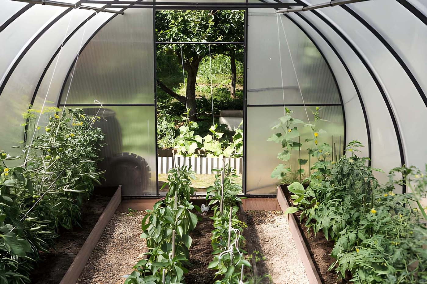 Why Gardeners Are Embracing Greenhouse Kits and Falling for Victorian Greenhouses