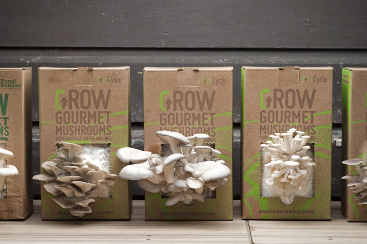 The GroCycle Project, Coffee Waste to Gourmet Mushrooms