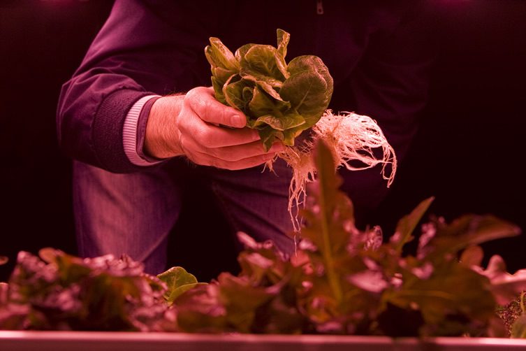 Growing Underground — Zero Carbon Food