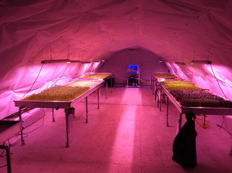 Growing Underground — Zero Carbon Food