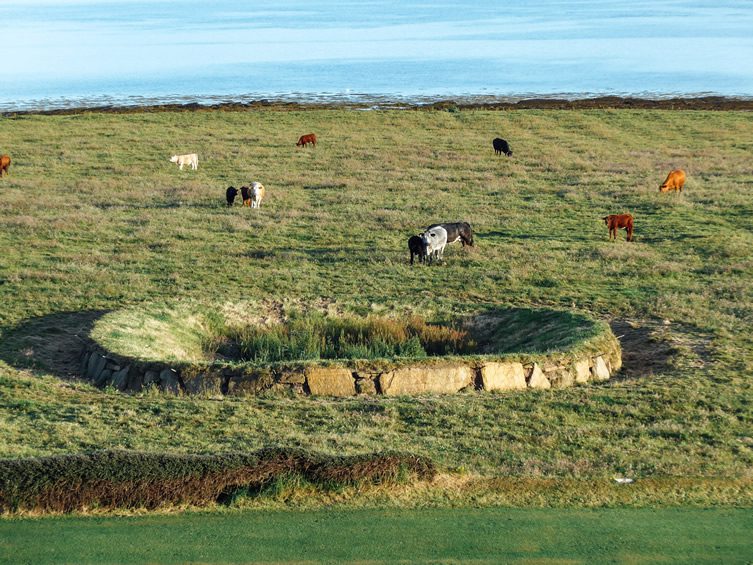 Highland Park Distillery, Orkney