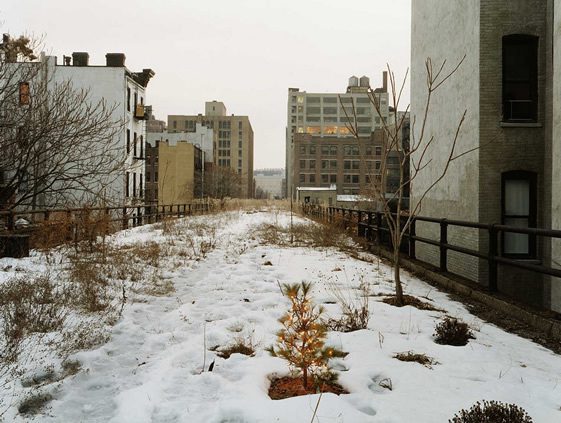 The High Line, New York