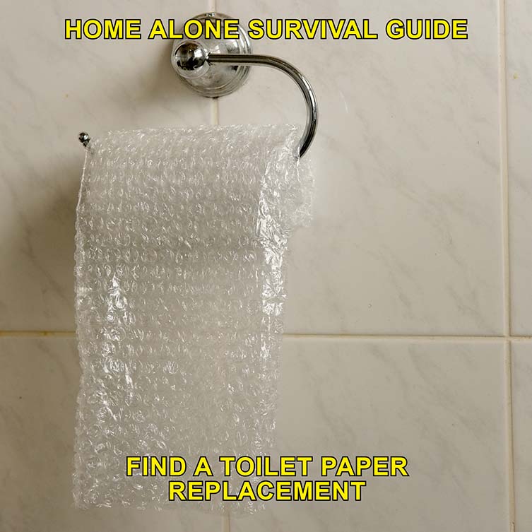 Max Siedentopf, Home Alone Survival Guide Quarantine Things to Do