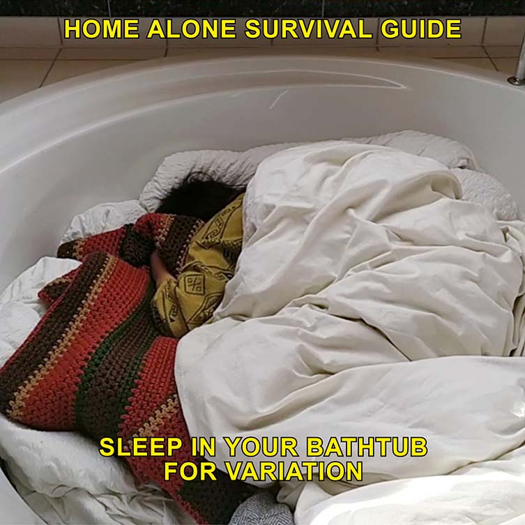 Max Siedentopf, Home Alone Survival Guide Quarantine Things to Do