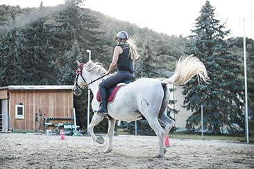 Horse Riding Clothing and Equipment