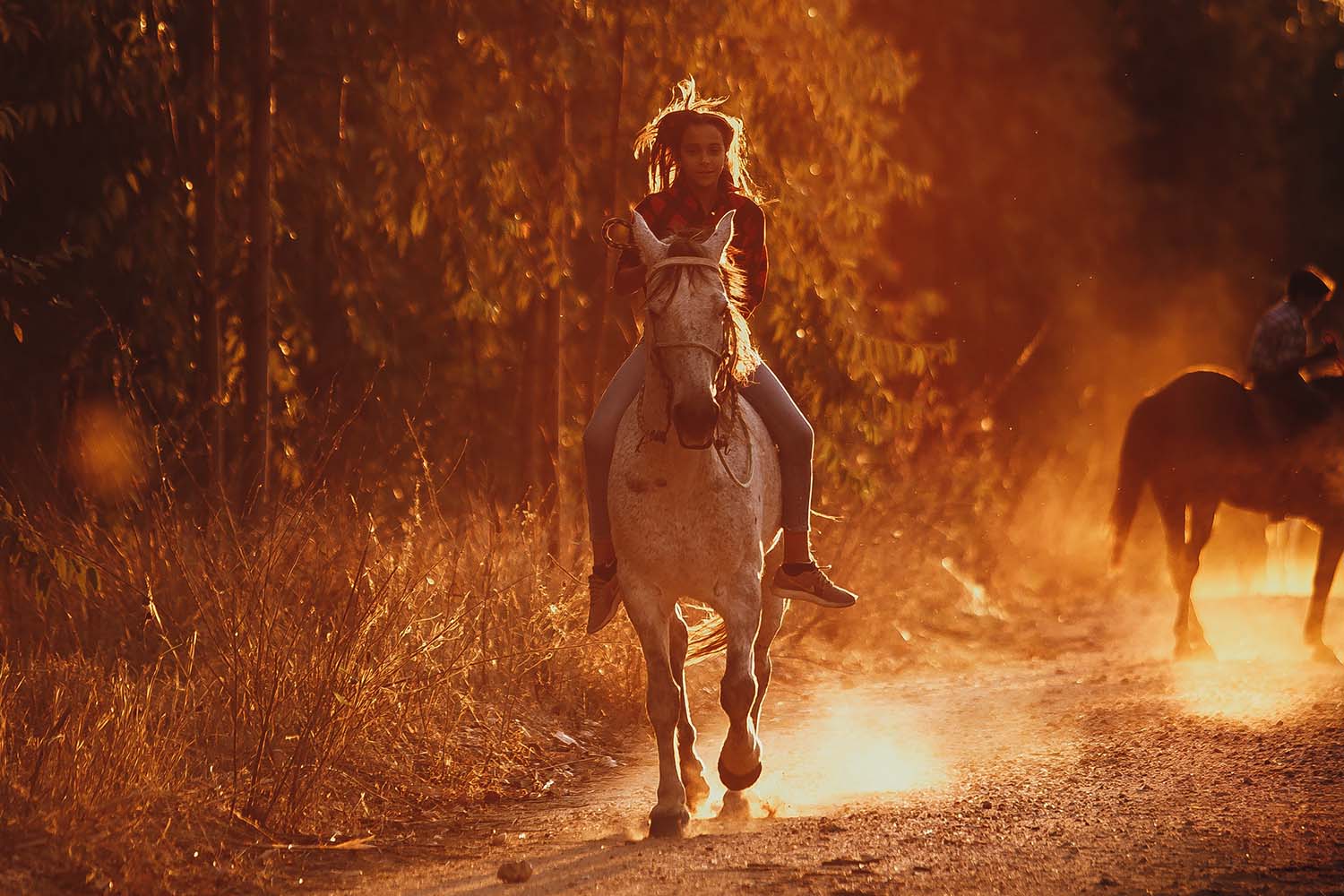 Learn More About Horse Riding Clothing and Equipment