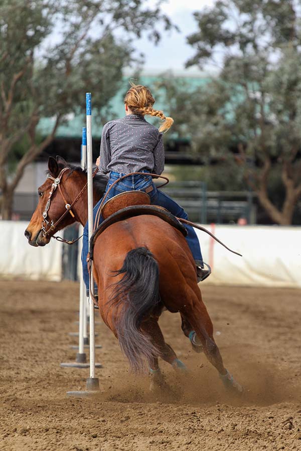 Learn More About Horse Riding Clothing and Equipment