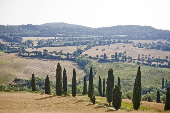 Hotel Monteverdi, Tuscany