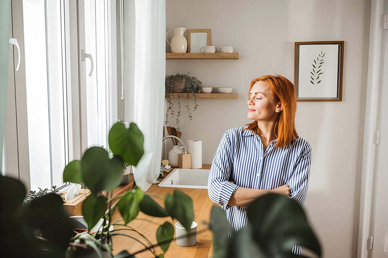 House Plants to Boost Your Mood