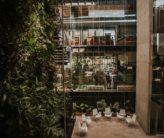 Il Mercatø Gentiloni Saltillo, Mexico by Cadena + Asociados Concept Design®